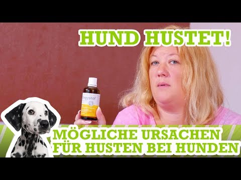 Lumbosakralen Osteochondrose Röntgenstrahlen Equine Gel für Gelenke mit Chondroitin