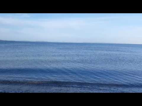Beautiful Views at Eastern Beach, Auckland, New Zealand-Video1