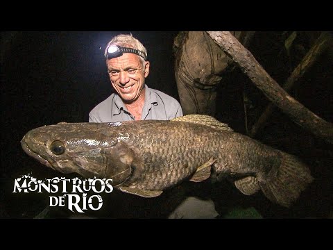 Los Peces MÁS GRANDES Capturados en la Temporada 3 | Monstruos de Río