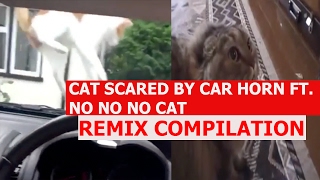 Cat Scared With Car Horn Ft. No No No Cat - REMIX COMPILATION