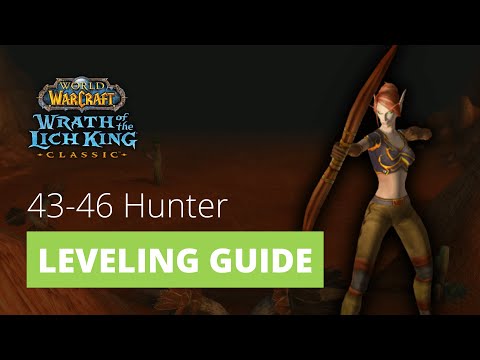 Wotlk Classic Pre Patch Hunter Level 43 46