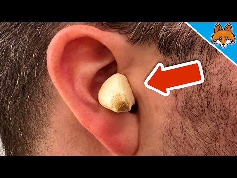 , title : 'HERE'S WHY you should put Garlic in your EAR 💥 (AWESOME Trick) 🤯'