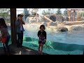 Polar Bear Tries To Attack Girl Through Glass At Zoo