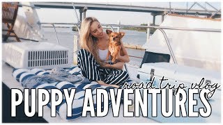 Spring Beach Road Trip | PUPPY ADVENTURES EP 1