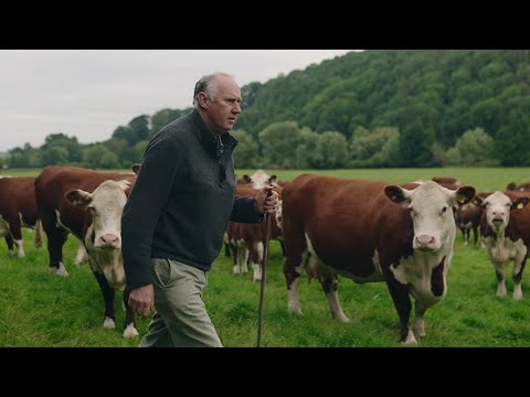 John Walker, a Hereford Cattle Farmer