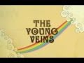 Is It True (Bonus)- The Young Veins 