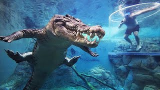 CAGE OF DEATH - Swimming With Crocodiles