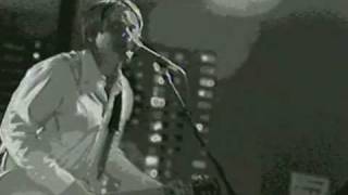 LIGHT IN YOUR EYES~ THE HONEYDOGS~TASTE OF MINNESOTA