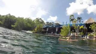 preview picture of video 'Swimming on Sinkhole Cenote Azul'