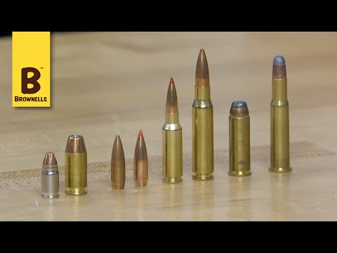 Quick Tip: Hollow Point vs Soft Point vs Ballistic Tip Bullets
