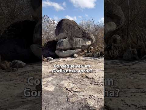 Pedra do Gorila | Km 20, Senador Pompeu-CE.