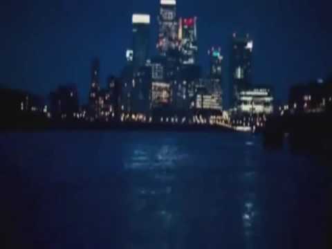 The Order of Stonoga