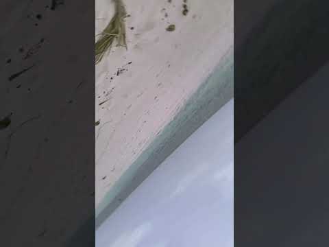 #news #beach #travel 👌❤️👌❤️👌👌❤️🥰👌🥰💘👌