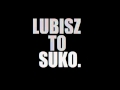 Fokus - Lubisz to (Hardcore remix) 