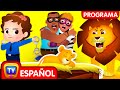 Salvando Al Cachorro De León Episodio Masái Mara Divertidas Historias Infantiles ChuChu TV