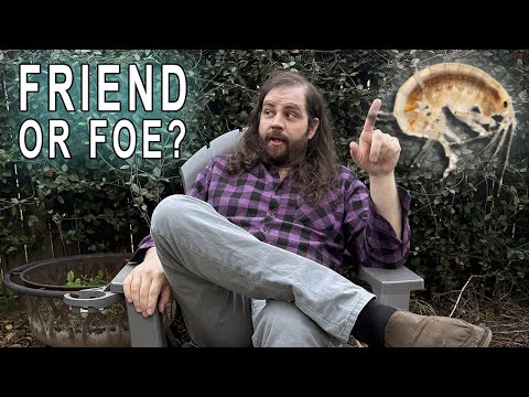 Scuds are Bad, M’kay?