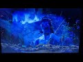 Opening Closing To Avatar 2010 Blu Ray Disc 1 Original Theatrical Release