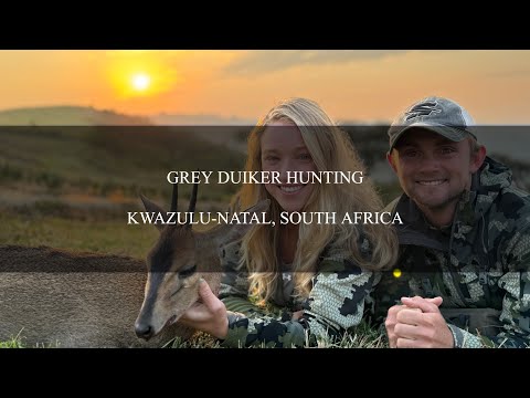 Hunting Grey Duiker in  South Africa with Safari Quest Outfitters!