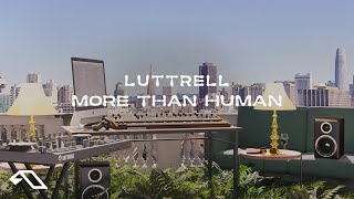Luttrell - More Than Human