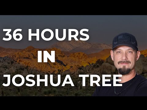 I Explored Joshua Tree for 36 Hours