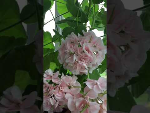 Tisdagens offentliga kaffesump säger Närvaro