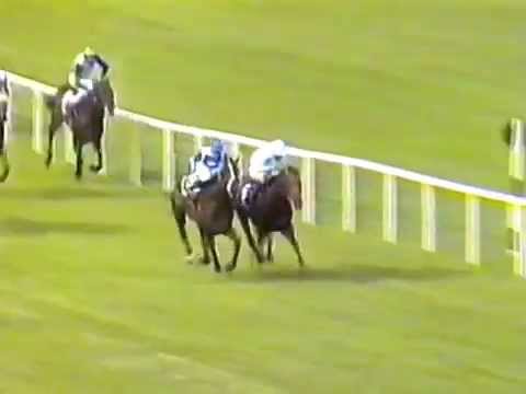 1992 - Leopardstown - Irish Champion Stakes - Dr Devious