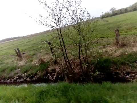 Heute unterwegs auf dem Weg von Holthusen nach Weener