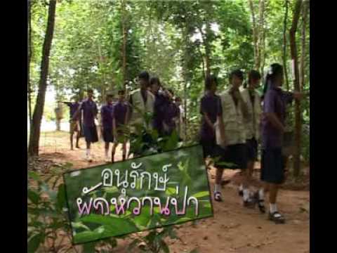 ม้าน้อยกระเจี๊ยวใหญ่ Castoreum และเพิ่มความแข็งแรง