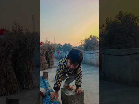 Shanta. #pets #doglover #dog #love #music #funny #amazingfacts #animals German shepherd