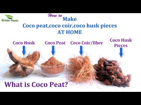 Extrcation of coco peat from coconut fiber