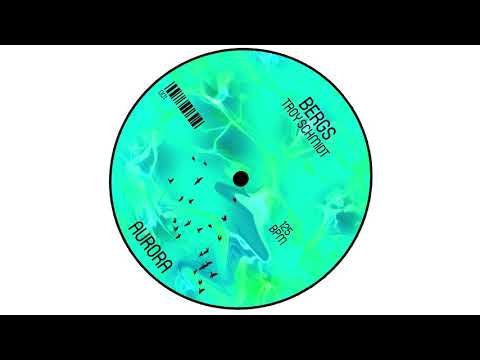 BERGS & Troy Schmidt - Aurora (Original Mix)
