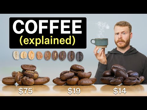 Does Expensive Coffee actually taste better?