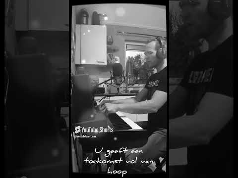 Toekomst vol van hoop || Sela (korte versie) - Arnold van Laar (live) #gospel #christiansong #sela