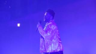 Can't feel my face The weekend Adelaide 2017