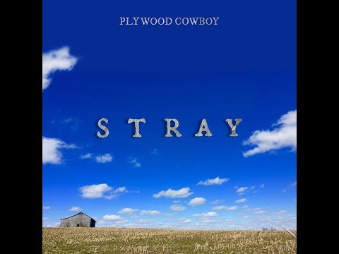 Plywood Cowboy Stray Official Video