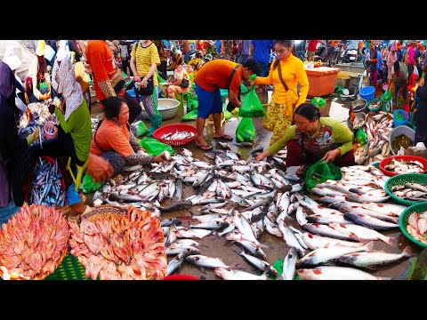 Ever seen largest fish distribution in Phnom Penh Cambodia, Fish market scenes and people activities
