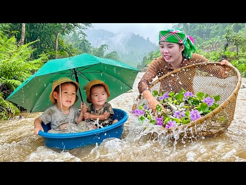 Children and Single mom Harvest on Rainy days: Harvesting Giant Fish pond to Sell at Market