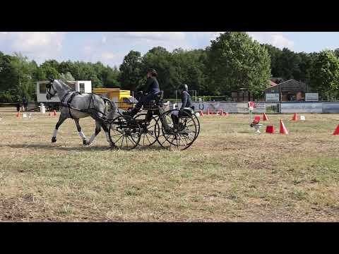 Fahrturnier Westbevern 23.6.2023