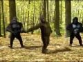 Angelina - By: Lou Bega (with dancing Gorillas ...