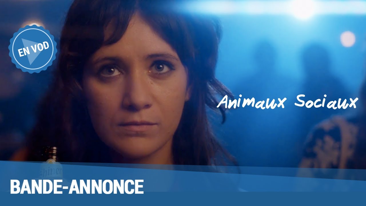 Miniature de la vidéo Animaux Sociaux - Bande Annonce [VF] du film Social Animals