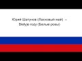 Юрий Шатунов (Ласковый май)  – Biełyje rozy (Белые розы)