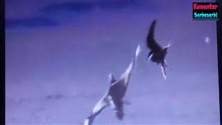 Download lagu Pertarungan Hebat Antar Burung Elang Di Udara. #30 mp3