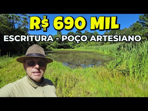 Vídeo