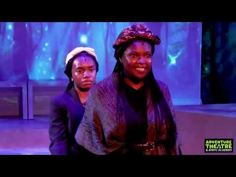 What is She Persisted?
