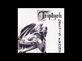 The Bevis Frond - Into The Cryptic Mist