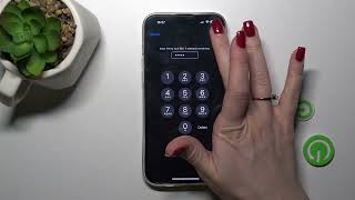 How to Lock SIM Card with SIM PIN on iPhone 14 Pro Max