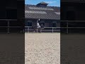A vendre jument dressage