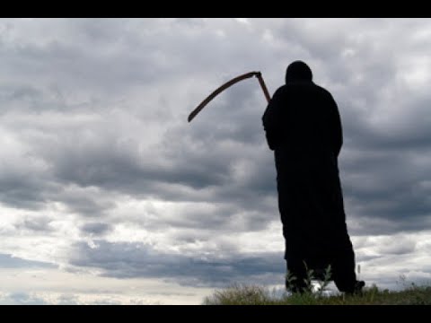 I-SULTAN-_1I vs MAGE/BR8 Scores in desc