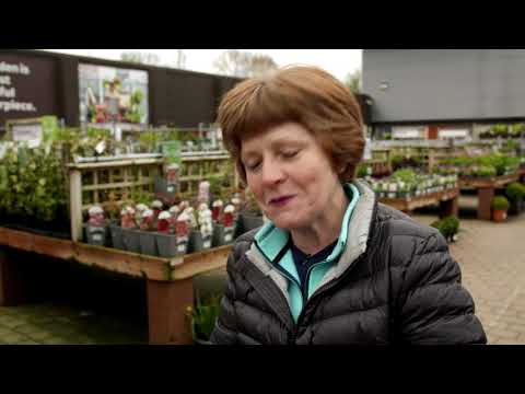 Super Garden 2018 - Episode 1 Sneak Peek