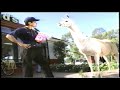 Ronald McDonald S The Emperor S New Groove Happy Meal Toy TV Commercial
